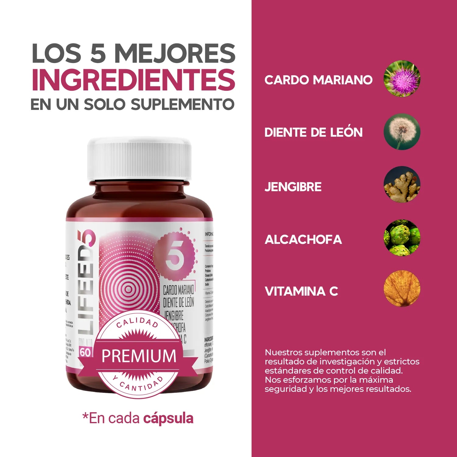 Cardo Mariano Diente de León y Cúrcuma