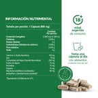 Enzimas Digestivas con Probióticos y Prebióticos
