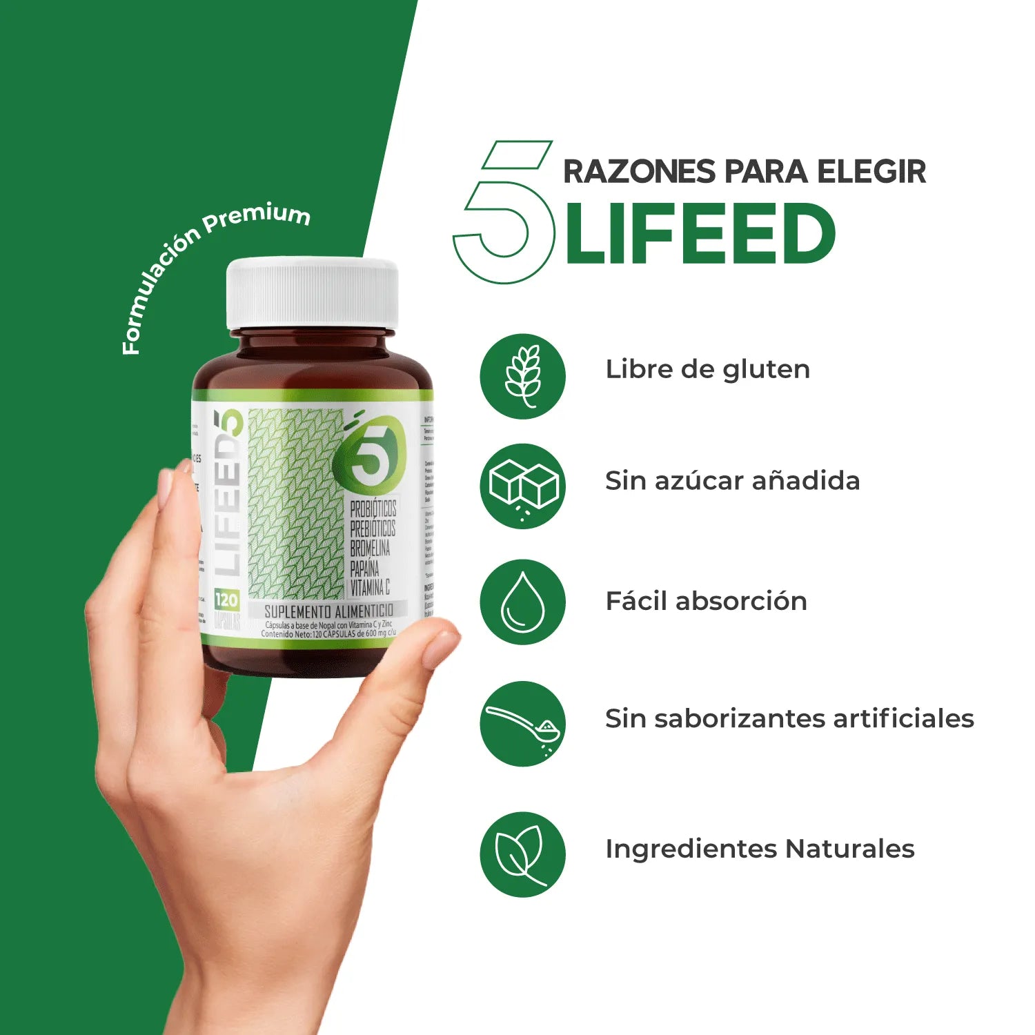 Enzimas Digestivas con Probióticos y Prebióticos
